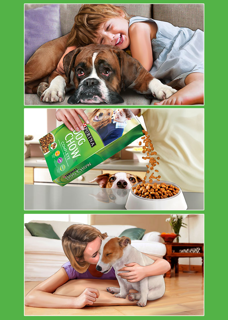 Ilustrador storyboards para Purina, España